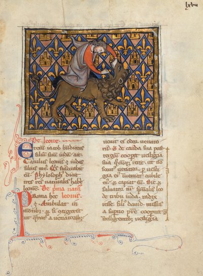 Samson combattant un lion - Unbekannt Unbekannt